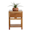 Found & Fable Maddison Natural Wood Side Table with Drawer