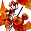 Orange Berries & Leaves Pick, 12"