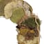 Honeybloom Dried Mushroom Wreath, 18"
