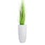 Elena Cream Outdoor Planter, Medium