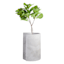 Japi Papyrus Burnt Cement Outdoor Planter, Medium