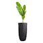 Crosby St. Elena Black Outdoor Planter, Medium