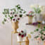 Willow Crossley White & Purple Poppy Floral Stem, 28.5"