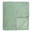 Sage Green Plush Bed Blanket, King