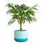 Indoor Blue Reactive Glaze Diamond Pot, Large