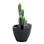 Crosby St. Black Petal Egg Outdoor Planter, Small