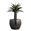Found & Fable Black Foshan Ceramic Outdoor Planter, Large