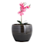 Found & Fable Black Foshan Ceramic Outdoor Planter, Medium