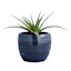 Found & Fable Blue Foshan Ceramic Outdoor Planter, Small
