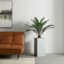 Palm with Square Textured Planter, 54"