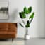 Banana Leaf Tree with White Planter, 5'