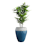 Acadia Blue Petrol Urn Ceramic Outdoor Planter, Extra Large