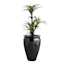 Brown Arcadia Outdoor Planter, Medium