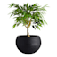 Japi All-Weather Black Lattice Bowl Outdoor Planter, Extra Large