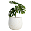 Tracey Boyd Indoor White Lava Reactive Glaze Pot, Small