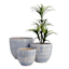 Ty Pennington Blue Moss Ceramic Cup Outdoor Planter, Large