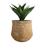 Honeybloom Atlantis Sand Finish Outdoor Planter, Extra Large