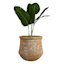Honeybloom Atlantis Sand Finish Outdoor Planter, Large