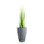 Japi All Weather Proof Charcoal Modern Conic Outdoor Planter, Small