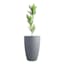 Japi All Weather Proof Charcoal Modern Conic Outdoor Planter, Large