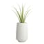 Japi Brut Off-White Outdoor Planter, Small