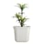 Providence Off-White Square Bell Outdoor Planter, Large