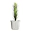 Japi Off-White Square Bell Outdoor Planter, Extra Large