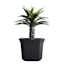 Japi Square Bell Outdoor Planter, Large