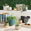 Indoor Ivory Ceramic Footed Pot, Small