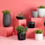 Crosby St. Clovis Black Tall Outdoor Planter, Extra Large