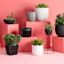 Crosby St. Black Metal Planter Stand, Large
