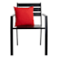 Cherry Canvas Square Outdoor Throw Pillow, 16"
