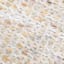Honeybloom Woven Natural Square Placemat, White