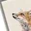 26x18 Wondering Fox Framed Canvas