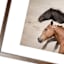 26x38 Brown Running Wild Horses Framed Art Under Glass