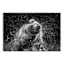 Bear Shaking Water Canvas Wall Art, 20x30