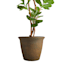 Kiri Sable-Colored Decorative Outdoor Planter, Large