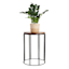 Wooden Top & Black Metal Plant Stand, Large