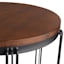 Wooden Top & Black Metal Plant Stand, Medium