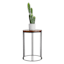 Wooden Top & Black Metal Plant Stand, Medium