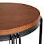 Wooden Top & Black Metal Plant Stand, Small