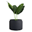Japi Natural Latte Outdoor Planter, Large
