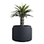 Japi Latte Natural Outdoor Planter, Extra Large