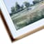 37X19 Willowy Wilderness Print Under Glass