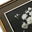 Glass Framed Floral in The Dark Wall Art, 21x27