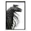 Glass Framed Black & White Horse Portrait II Wall Art, 25x37
