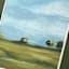 Glass Framed Grassy Landscape Print Wall Art, 20x26
