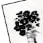 Framed Floral Canvas Wall Art, 19x37