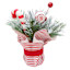 Snowy Christmas Arrangement In Red & White Pot, 10"