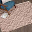 (D438) Jardel Blush Tufted Area Rug With Non-Slip Back, 5x7